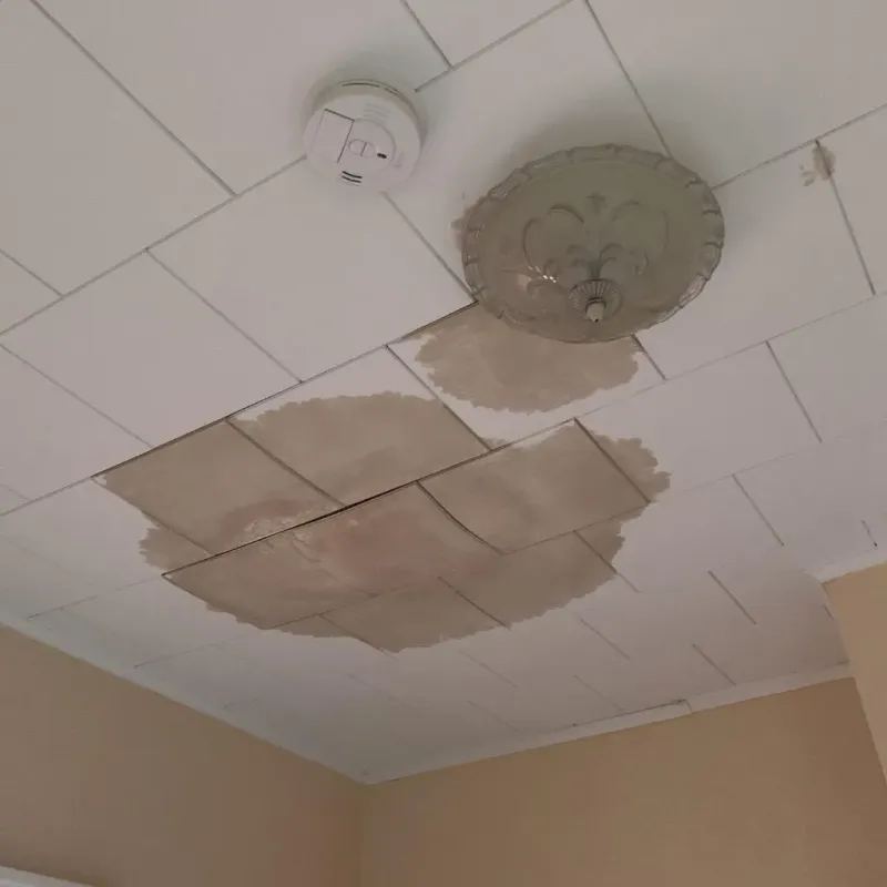 Ceiling Water Damage Repair in Langley, WA