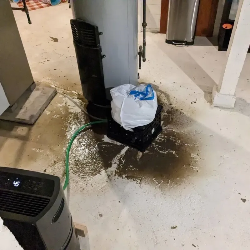 Sewage Backup Cleanup Service in Langley, WA